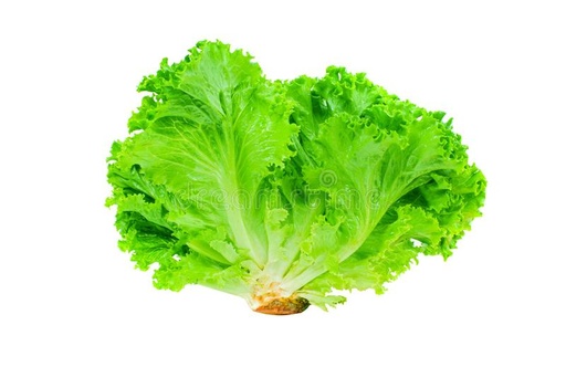 Saladh