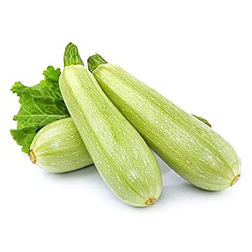 Kusa